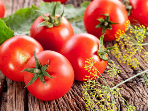 Ăn cà chua có thể khiến người huyết áp thấp đau đầu, hoa mắt, chóng mặt