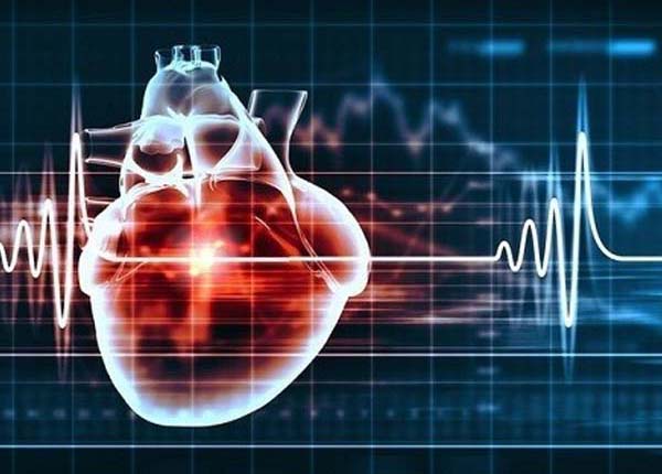 Nhịp tim bình thường của một người khỏe mạnh sẽ dao động trong khoảng 60 – 80 lần trên một phút