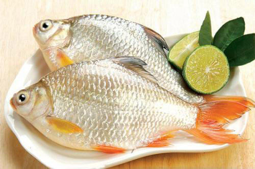Những bộ phận nào của cá có thể gây nguy hại sức khỏe