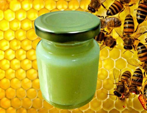Sữa ong chúa tươi nguyên chất có tác dụng gì đối với sức khỏe